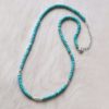Sleeping Beauty Turquoise Necklace with Silver Beading