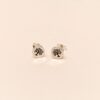 Etched Tree of Life Earrings