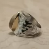 Goldbug - Image 2