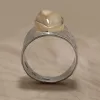 Goldbug - Image 3